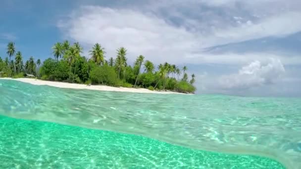 UNDERWATER: Fantastic clean ocean and tropical exotic island Bora Bora — Stock Video