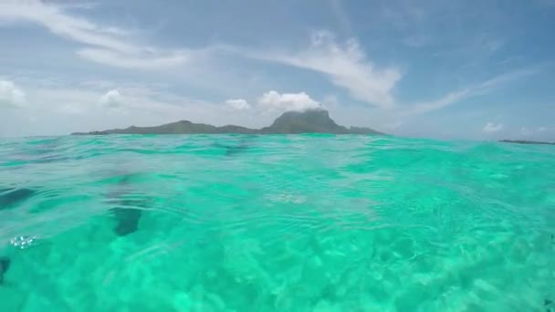 Slow Motion: jonge vrouw Snorkelen, verkennen verzonken standbeeld heiligdom — Stockvideo