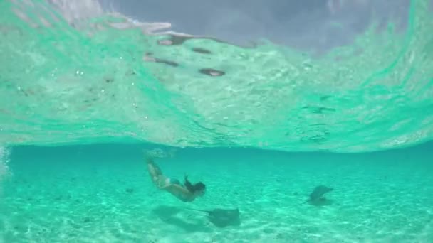 SLOW MOTION: Young woman swimming underwater with friendly stingray rays — Wideo stockowe