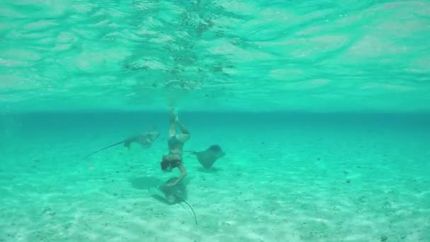 SLOW MOTION: Young woman swimming underwater with friendly stingray rays — ストック動画