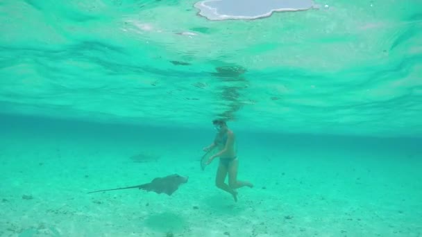 Αργή κίνηση: γυναίκα κολύμπι υποβρύχια και ταΐζοντας ακτίνες και καρχαρίες — Αρχείο Βίντεο