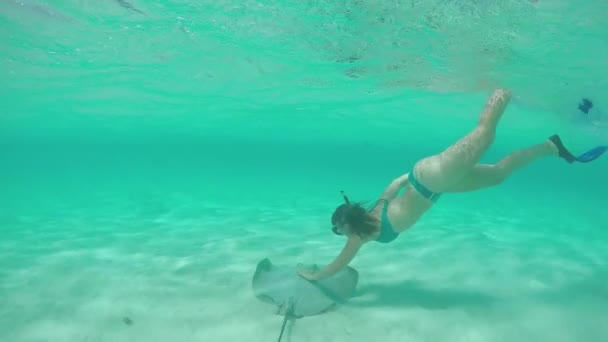 MOVIMIENTO Lento: Mujer joven haciendo snorkel bajo el agua acariciando rayo rayo gris amistoso — Vídeo de stock