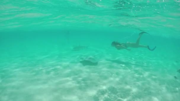 SLOW MOTION: Young woman swimming underwater with stingrays and sharks — Stock Video