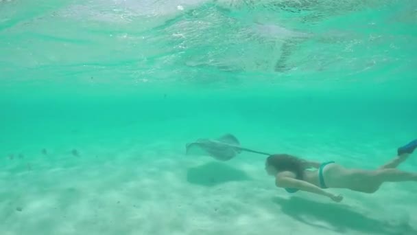 SLOW MOTION: Young woman swimming underwater with friendly stingray rays — Stok video