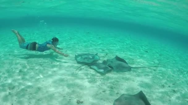 SLOW MOTION: Young man snorkeling underwater with stingrays and sharks — Stock Video