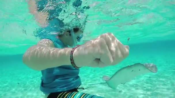 MOCIÓN LENTA: Joven buceando bajo el agua con mantarrayas y tiburones — Vídeo de stock