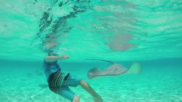 MOTION SLOW : Jeune homme plongeant sous l'eau avec tuba et requins — Video