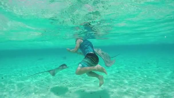 MOTION SLOW : Jeune homme plongeant sous l'eau avec tuba et requins — Video