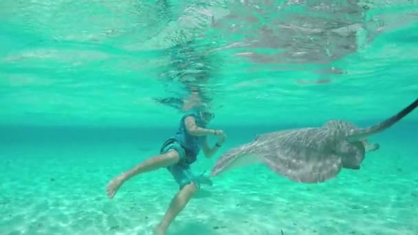 慢动作 ︰ 年轻人浮潜水下与黄貂鱼和鲨鱼 — 图库视频影像