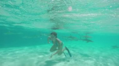 Yavaş Hareket: Siyah uçlu köpekbalıkları ile su altında yüzen genç kadın