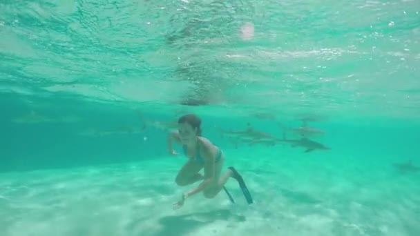 MOCIÓN LENTA: Mujer joven nadando bajo el agua con tiburones punta negra — Vídeo de stock