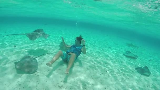 MOCIÓN LENTA: Joven buceando bajo el agua con mantarrayas y tiburones — Vídeos de Stock