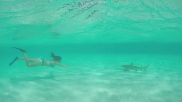 Yavaş hareket: okyanusta yüzen kadın büyük bir köpekbalığı karşılaşır — Stok video