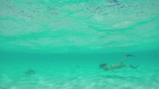 Slow Motion: jonge vrouw zwemmen onderwater en snorkelen met haaien — Stockvideo