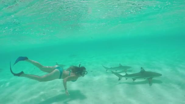 Movimiento lento: Mujer joven nadando bajo el agua y haciendo snorkel con tiburones — Vídeo de stock