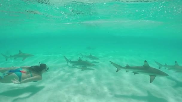 Movimiento lento: Mujer joven nadando bajo el agua y haciendo snorkel con tiburones — Vídeo de stock