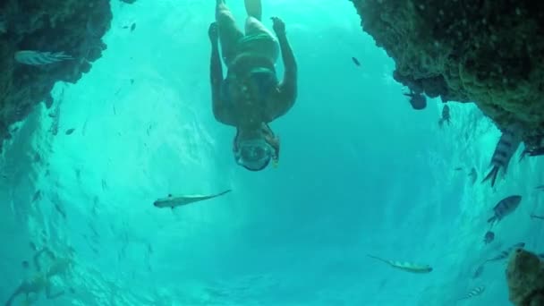 Медленное движение под водой: женщина ныряет с маской с экзотическим рифом с тропическими рыбами — стоковое видео
