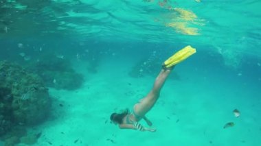 Yavaş hareket sualtı: Kadın şnorkel egzotik reef ile tropikal balık