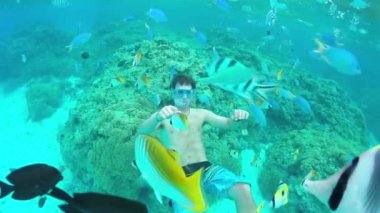 Yavaş Hareket Sualtı: Tropikal balık ile egzotik resif şnorkel adam