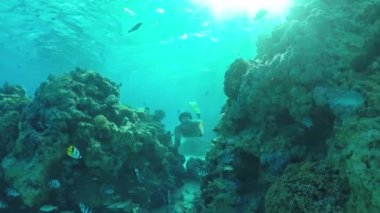 Yavaş Hareket Sualtı: Tropikal balık ile egzotik resif şnorkel adam