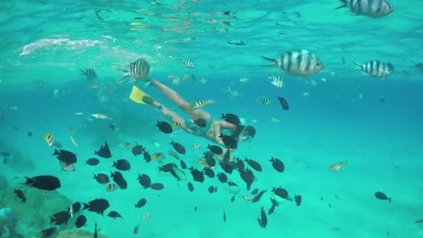 SLOW MOTION COMDERWATER: Snorkeling mulher recife exótico com peixes tropicais — Vídeo de Stock