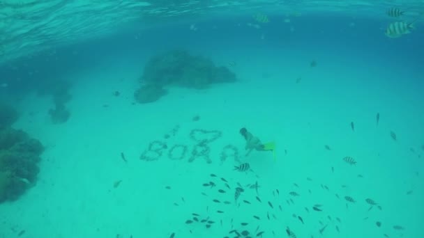 AGUA SUPERIOR DE MOCIÓN LENTA: Mujer buceando arrecife exótico con peces tropicales — Vídeos de Stock