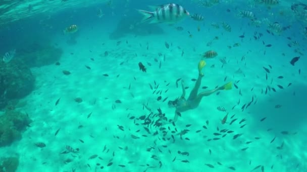 Slow Motion onderwater: Vrouw snorkelen exotische rif met tropische vissen — Stockvideo