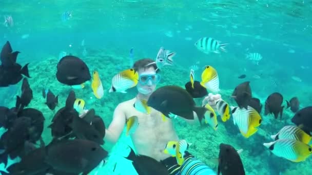 AGUA SUPERIOR DE MOCIÓN LENTA: Hombre haciendo snorkel y alimentando a peces de arrecife exóticos — Vídeo de stock