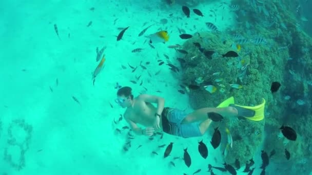 Pomalý pohyb pod vodou: muž se šnorchlováním exotického útesu tropickými rybami — Stock video