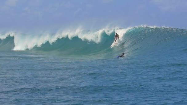 Slow Motion: ekstremalne Pro surfer surfing duża fala baryłkę rury — Wideo stockowe
