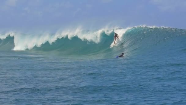 MOCIÓN LENTA: Surfista profesional extremo surfeando olas de cañón de tubo grande — Vídeos de Stock