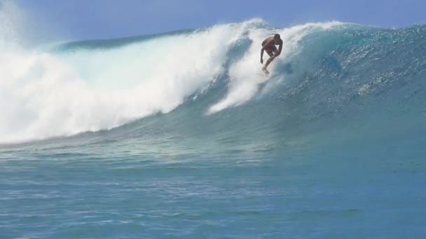 SLOW MOTION: Extreme pro surfer surfing big tube barrel wave — Stock Video