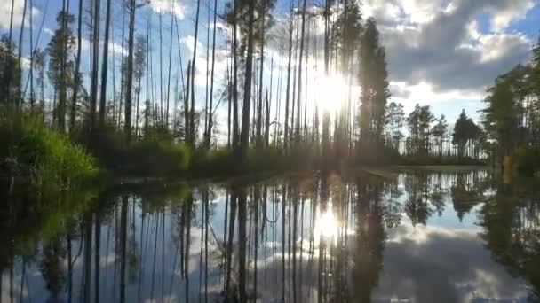 Boottocht door het prachtige moeras wetlands-kanaal in de zonnige zomer — Stockvideo