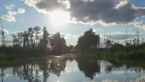 Incroyable promenade en bateau dans un canal marécageux avec de grands arbres moussus — Video