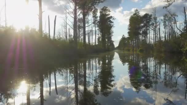 背の高い苔むした木と湿地運河で素晴らしいボートに乗る — ストック動画