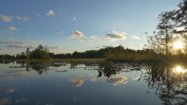 Superbes marécages humides à un bel été doré 