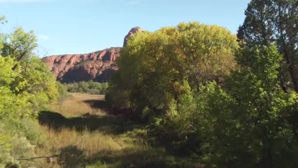 AERIAL: Voando sobre árvores em direção a belas montanhas Red Rock butte — Vídeo de Stock
