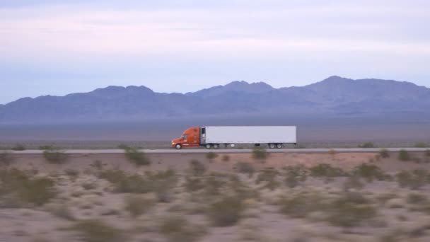 Freight semi truck driving — Stock Video