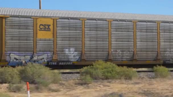 Lång container godståg flyttar — Stockvideo