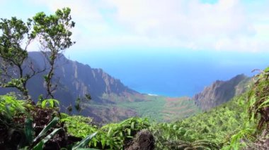 Kalalau iz Kauai, Hawaii boyunca çarpıcı Na Pali muhteşem manzarasına sahil