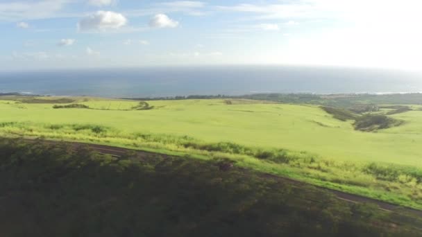 AERIAL: Red convertible driving through the meadow landscape towards the beach — Stock Video