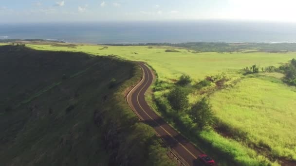 AERIAL: Red convertible driving through the meadow landscape towards the ocean — Stock Video