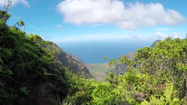 Paesaggio pittoresco con alte montagne rocciose, lussureggiante valle della giungla e oceano blu — Video Stock