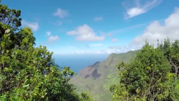 Close Up: Güneşli Hawaii orman dağ yolu boyunca yürüyen kadın — Stok video