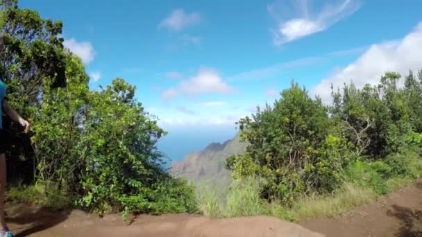 CERRAR: Deportiva hembra caminando por el sendero de la montaña en las exuberantes montañas de Hawaii — Vídeo de stock