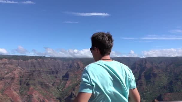 Zeitlupe: Mann steht am Rand der Schlucht und hebt siegreich die Arme — Stockvideo