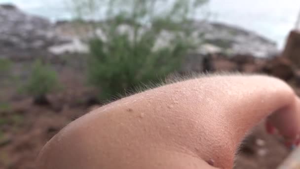 Makro: Dreszcze na ludzkiej skórze, na zimno, wietrzny dzień. Gęsia skórka na biały kobiece ramię. — Wideo stockowe