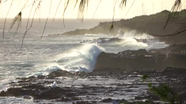 MOTION LENT : Vague extrêmement puissante frappant et dans la roche volcanique noire rugueuse — Video