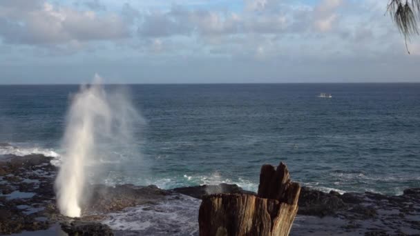 LOW MOTION: Onda oceânica poderosa salpicando através de blowhole na costa rochosa — Vídeo de Stock