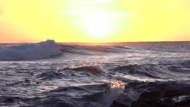 Slow Motion på nära håll: Havets vågor slår in i stenig strand på golden sunset — Stockvideo